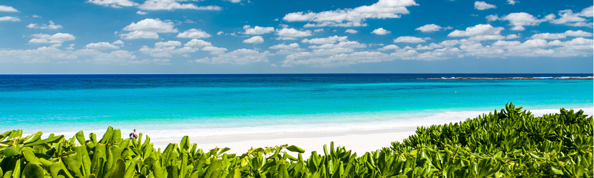 Caribbean beach and nature surrounding the retreat